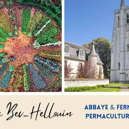 Funny And Friendly - Billard Et * Pont-Audemer