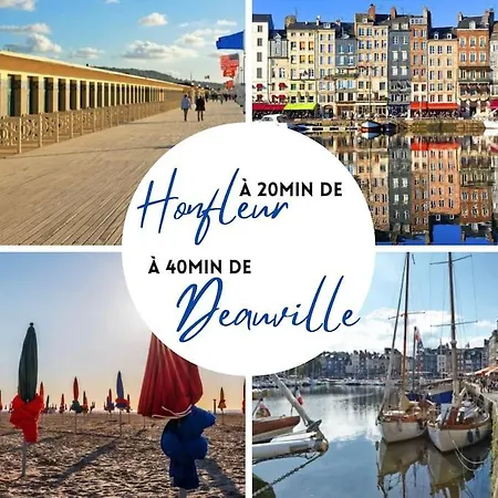 Funny And Friendly - Billard Et