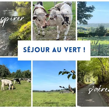 Funny And Friendly - Billard Et Appartement